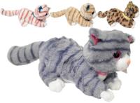 Opakowanie Kot z głosem MIX