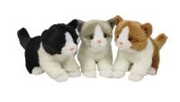 Opakowanie Kotki 18cm mix