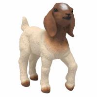 Opakowanie Koza rasy Boer młode