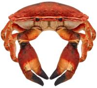 Krab słonowodny 26cm. Wydawca: Beppe. SmakLiter.pl Opakowanie Krab słonowodny 26cm