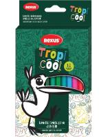 Opakowanie Kredki ołówkowe trójkątne Jumbo 12 kolorów