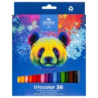 Kredki Triocolor Niedźwiedź  36 kolorów. Wydawca: Koh-I-Noor. SmakLiter.pl Opakowanie Kredki Triocolor Niedźwiedź  36 kolorów
