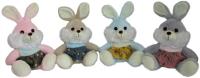 Opakowanie Królik zajączek w ubranku 22cm MIX