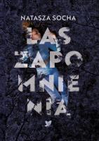 Las zapomnienia. Autor: Natasza Socha. SmakLiter.pl Okładka książki Las zapomnienia