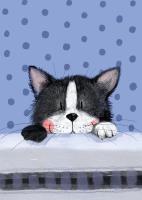 Opakowanie LDC16 Karnecik Mały kot Frisky