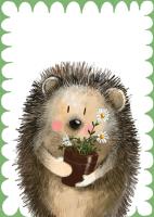 Opakowanie LDC24 Karnecik Jeżyk