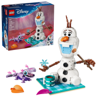 Opakowanie LEGO(R) DISNEY PRINCESS 43287 Piknik Olafa i Bruniego