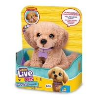 Opakowanie Little Live Pets - ''Prawdziwy'' Szczeniaczek