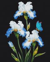 Opakowanie Malowanie po numerach BRUSHME 40x50 cm Irysy