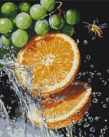 Opakowanie Malowanie po numerach BRUSHME 40x50 cm Soczysta Kombinacja