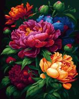 Opakowanie Malowanie po numerach czarne płótno - Kolorowe...