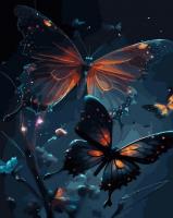 Opakowanie Malowanie po numerach czarne płótno - Nocne Motyle