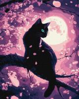 Opakowanie Malowanie po numerach -Czarujący kot 40x50cm