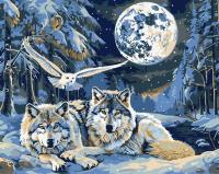 Opakowanie Malowanie po numerach -Drapieżniki i mądrość 40x50