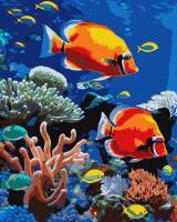 Malowanie po numerach - Jaskrawa rafa 40x50cm. Wydawca: Ideyka. SmakLiter.pl Opakowanie Malowanie po numerach - Jaskrawa rafa 40x50cm