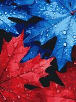 Opakowanie Malowanie po numerach - Jesienna rosa 30x40cm