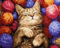 Opakowanie Malowanie po numerach - Kot w plątaninie 40x50cm