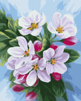 Opakowanie Malowanie po numerach - Kwitnięcie jabłoni 30x40cm