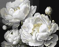 Opakowanie Malowanie po numerach - Nieskazitelne piękno 40x50