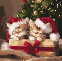 Opakowanie Malowanie po numerach - Puszyste prezenty 40x40cm