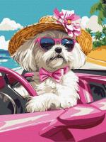 Malowanie po numerach - Różowy samochód 30x40cm. Wydawca: Ideyka. SmakLiter.pl Opakowanie Malowanie po numerach - Różowy samochód 30x40cm