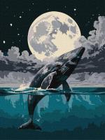 Opakowanie Malowanie po numerach - Skok do nieba 30s40cm