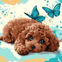 Malowanie po numerach - Uroczy pudel 40x40cm. Wydawca: Ideyka. SmakLiter.pl Opakowanie Malowanie po numerach - Uroczy pudel 40x40cm