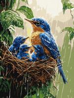 Opakowanie Malowanie po numerach - Wiosenny deszcz 30x40cm