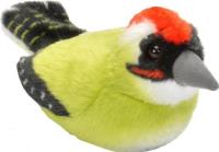 Opakowanie Maskotka Dzięcioł zielony