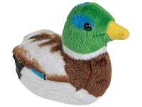 Opakowanie Maskotka Kaczka krzyżówka z dzwiękiem