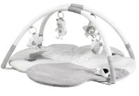 Opakowanie Mata edukacyjna Celeste