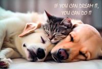 Opakowanie Mata mała dwustronna z nadrukiem frendship