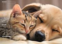 Opakowanie Mata na biurko z nadrukiem friendship