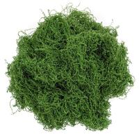 Opakowanie Mech dekoracyjny ciemnozielony 30g