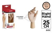 Opakowanie Model dłoni Prawa drew do nauki rysowania 25,5cm