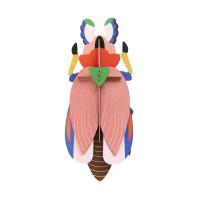 Opakowanie Model kartonowy 3D Wall Art - Beettles. Lady...