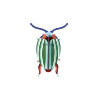 Opakowanie Model kartonowy 3D Wall Art - Beettles. Rainbow...