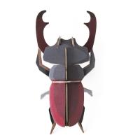 Opakowanie Model kartonowy 3D Wall Art - Beettles. Stag...