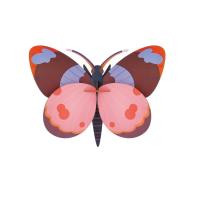 Opakowanie Model kartonowy 3D Wall Art - Bellissima Butterfly