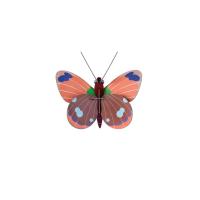 Opakowanie Model kartonowy 3D Wall Art - Delias Butterfly
