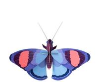 Opakowanie Model kartonowy 3D Wall Art - Peacock Butterflies