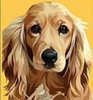 Opakowanie Mozaika diamentowa