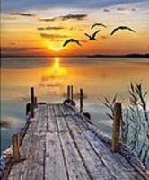 Opakowanie Mozaika diamentowa szczeniak