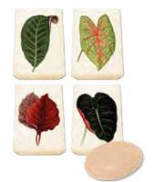 Mydełko ozdobne zapach brzoskwini. Wydawca: Skona Ting. SmakLiter.pl Opakowanie Mydełko ozdobne zapach brzoskwini