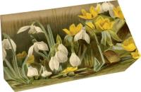 Mydło 200g zapach cytrynowy. Wydawca: Skona Ting. SmakLiter.pl Opakowanie Mydło 200g zapach cytrynowy