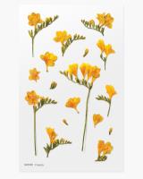 Opakowanie Naklejki ozdobne kwiaty Frezja