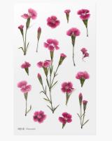 Opakowanie Naklejki ozdobne kwiaty Goździk chiński