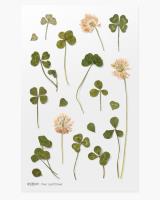 Opakowanie Naklejki ozdobne kwiaty Koniczyna