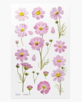 Opakowanie Naklejki ozdobne kwiaty Kosmos Aster