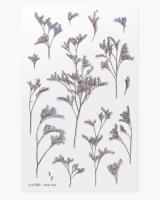 Opakowanie Naklejki ozdobne kwiaty Lawenda morska